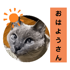 京女かんなhaaaan!!!