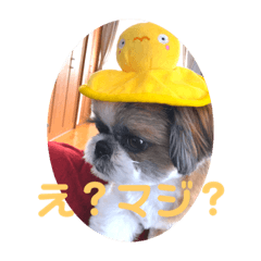 動物スタンプNero