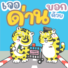 Tai Tai Best friend.