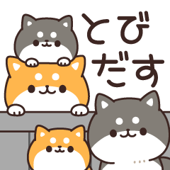 飛び出す♪お返事シバイヌくん