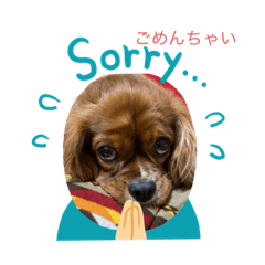 キャバお嬢アンジュ