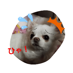 よく使うかも？みさきオリジナルスタンプだ