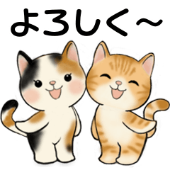 ラブリー猫さん ♡ 優しい日常