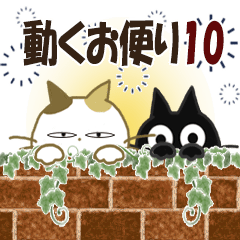 黒ねこの動くみけさん便り