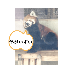 方言スタンプ北海道