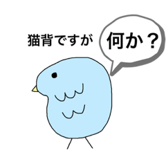 猫背な鳥
