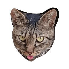 かげとら無言スタンプ