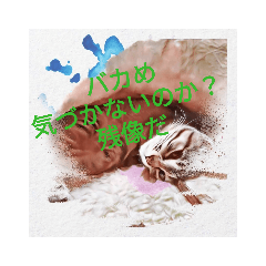 猫様煽りスタンプ