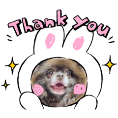 うちのこすぺしゃる