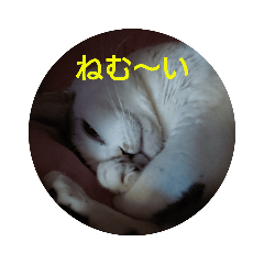 ダイフク様スタンプ弐