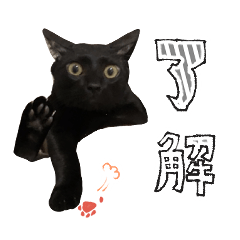 くろまめスタンプ６ヵ月～１歳