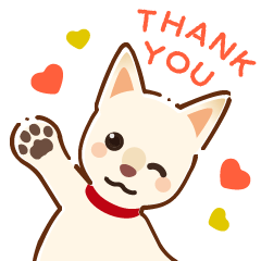 かわいい犬(白・茶),保護犬