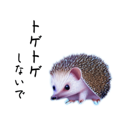 気まぐれなハリネズミ