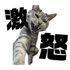 になちび〜ニャンキーシリーズ〜