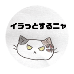 むぎが代わりに言うニャ