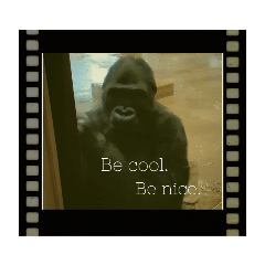 動物達のきゃわスタンプ