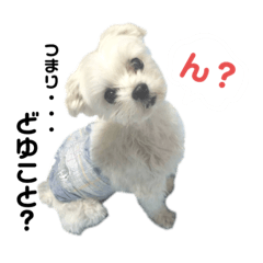 毎日みるくさん