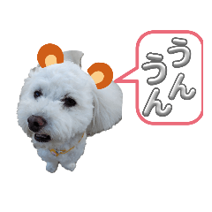 愛犬 ワンのスタンプ