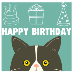 ハチワレぶーにゃんの『みんなおめでとう』