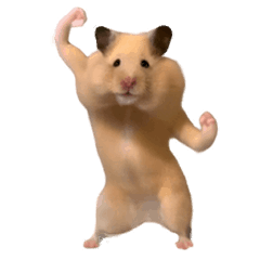 楽しいハムスター