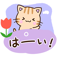 おちゃめなトラネコ★ガーリー