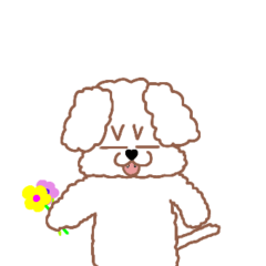 トイプードルのトーイ2