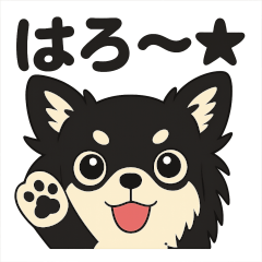 チワワのリンク