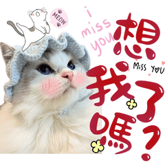 Mibu Daily Life-Daily Greetings#4