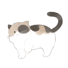 チームわんにゃん