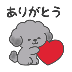 ふわもこトイプー・毎日スタンプ