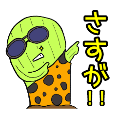 気軽に伝えるサボテン