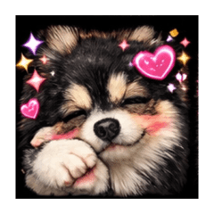 なまえはらむ！