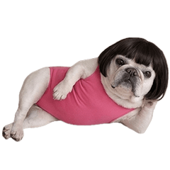 ブヒのぶーちゃん（おかっぱレオタード）