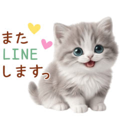 ふわふわハチワレ猫『基本あいさつ』