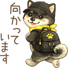 かわいい柴犬のお出かけ敬語