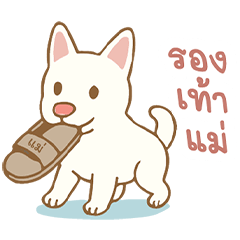 TARO PUPPY