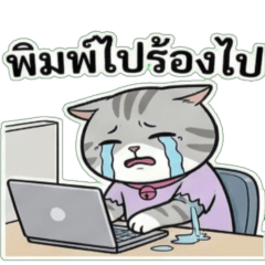 Overworked Cat The Broke Grind