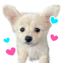 むむちゃんエブリディ!