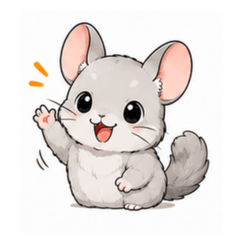 Chee the chinchilla
