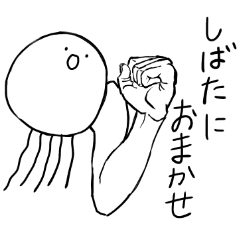 しばた専用２！稀にマッスルなクラゲ