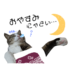 和菓子ねこちゃんズ