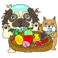 落武者パグのおっちーくんときどき豆柴