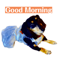 べるたんの日常 7