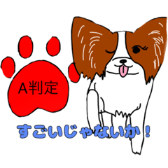猛犬モモちゃん1