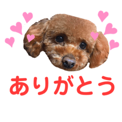 まろん&#39;s スタンプ