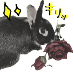 ロキくんスタンプ