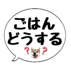 柴犬のぼちゃん デカ文字吹出し③