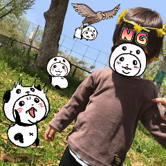 写真DEパンダinぱんだ