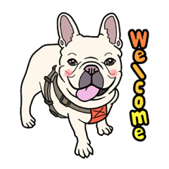 フレンチブルドッグフレンド