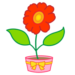 気持ちを表現する花。